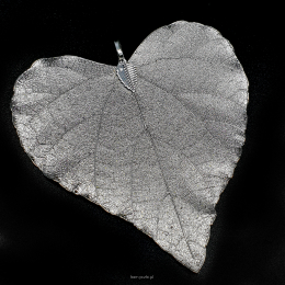 Wisiorek Liść Naturalny Srebrny Serce Duże Srebro 7x8 cm